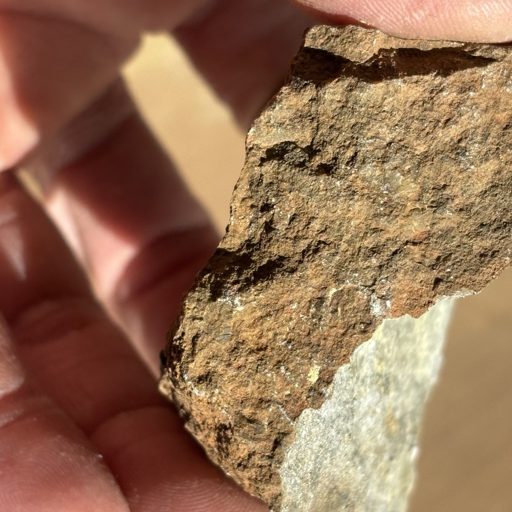 arizona silver and gold ore