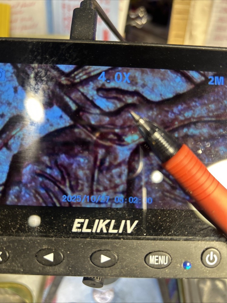 2009 Lincoln Penny Extra Thumb On Reverse