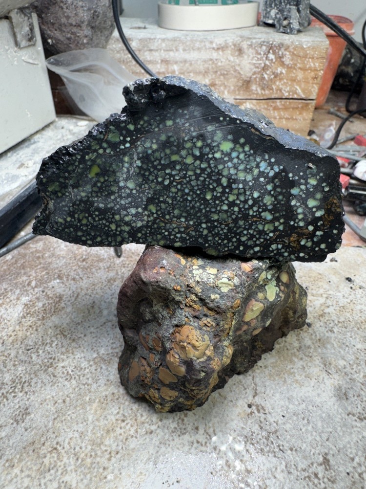 Natural Nevada Variscite rough star fox