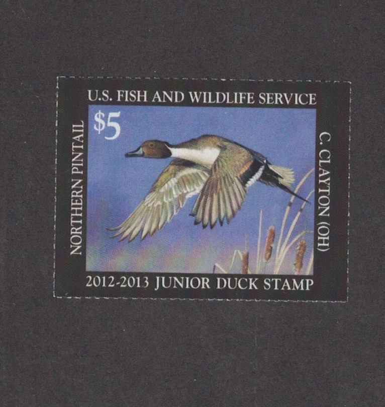 JDS20 - Junior Duck Stamp. Single.  MNH. OG. #02 JDS20