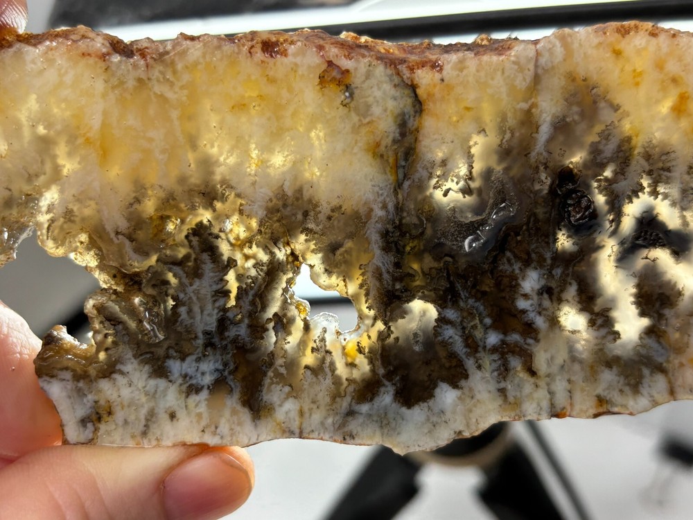 Plume Agate slab Cabbing Lapidary Combo Ship Avail Oregon