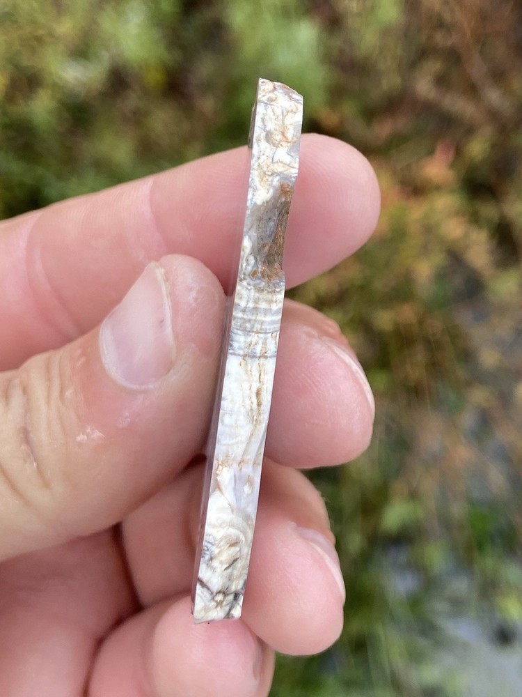 White Fortification Agate Banded Slab