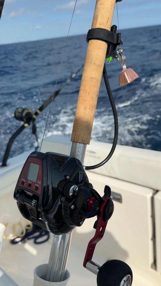 Rod Mounted Release Clip for Fishing