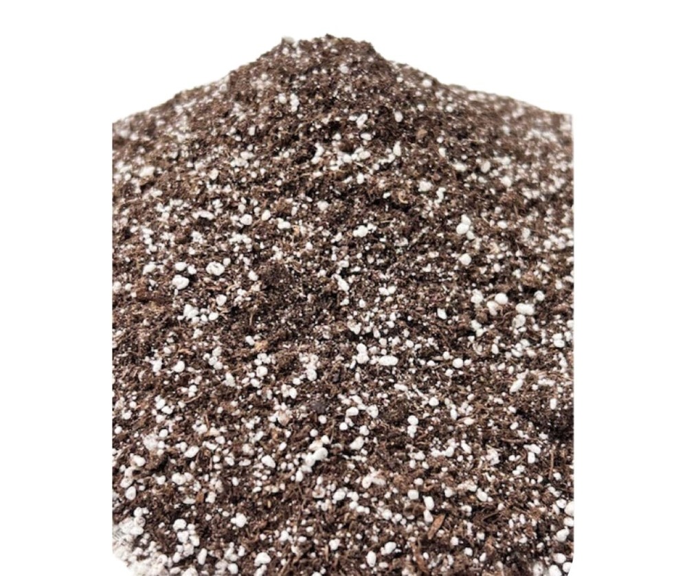 Seedling Mix 8qt