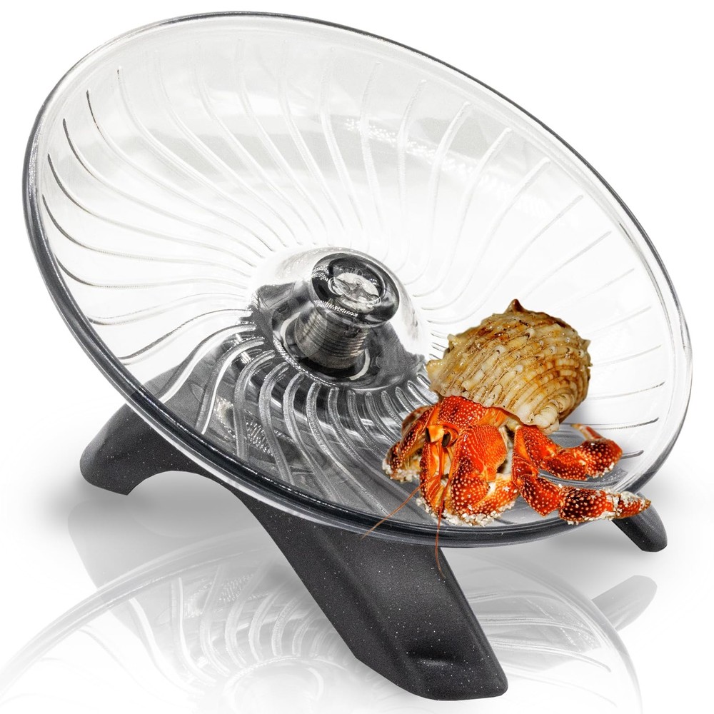 Hermit Crab Exercise Wheel - Silent Running for Transparent Gray