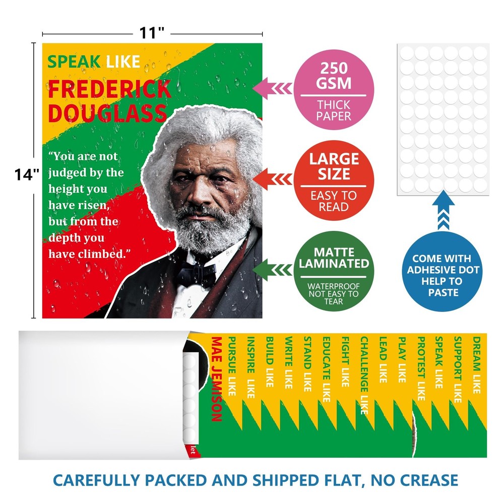 Arosche Black History Month Decorations Posters 14pc Famous Multicolor