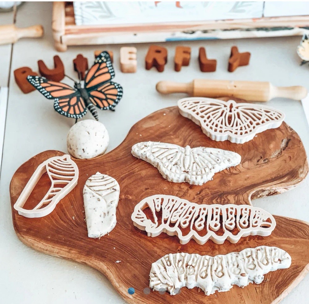 Butterfly Learning Set Nature Learning Montessori Education