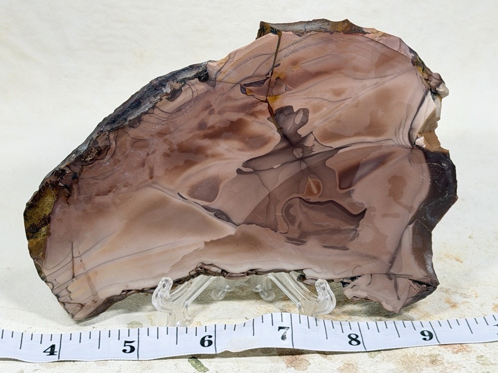 Choice Grade Willow Creek Jasper Slab, Lot #303