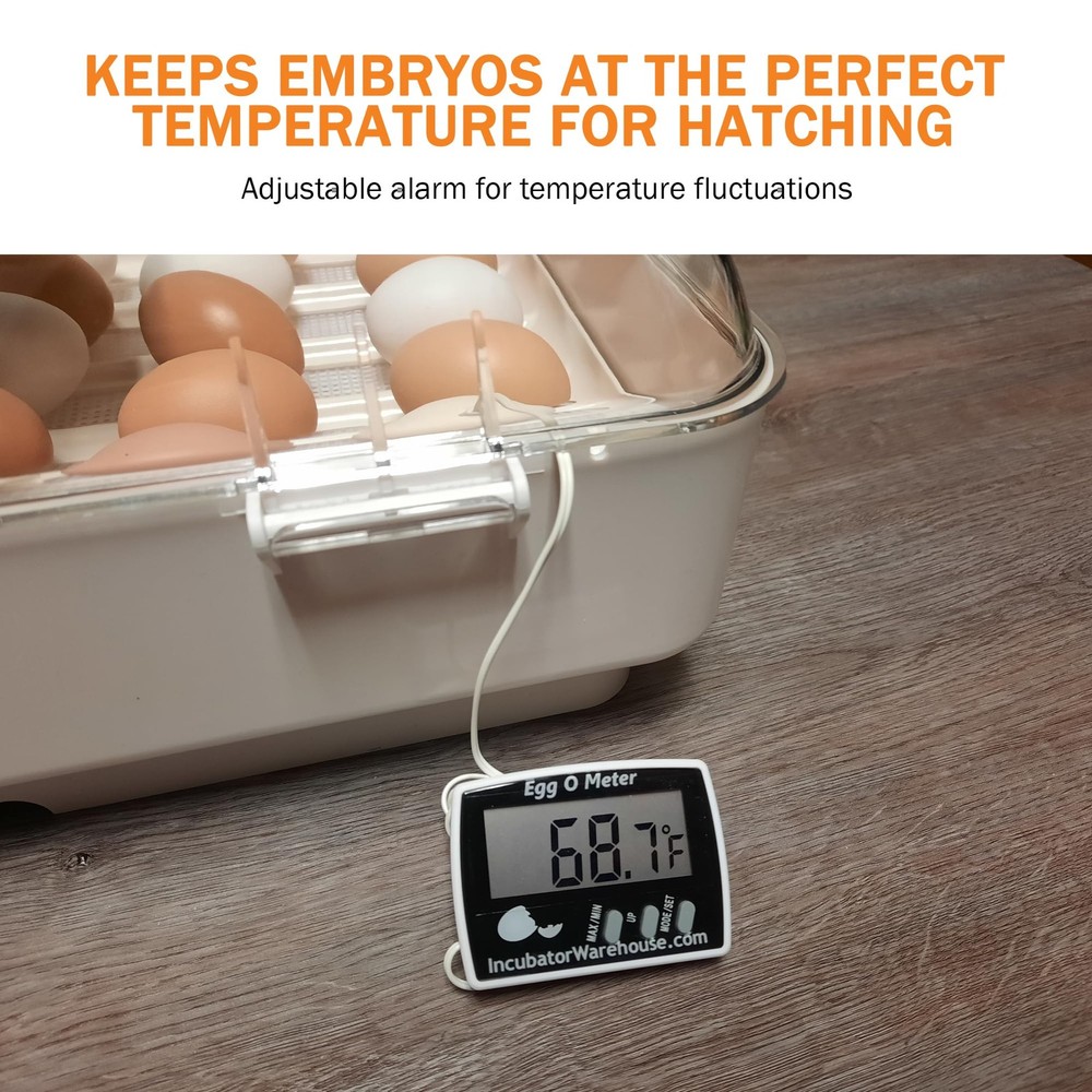 Egg-O-Meter - Large Digital Display Egg Thermometer with Min/Max Memory - Rea...