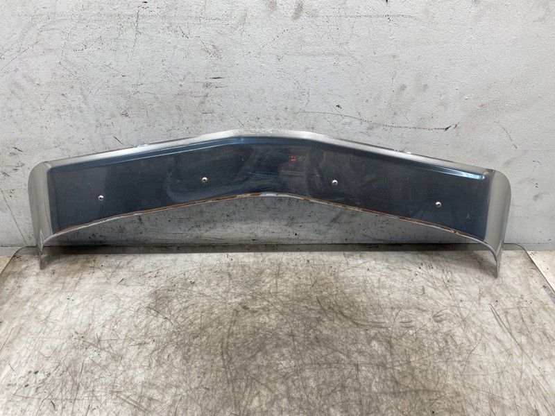 2005 Kenworth T600 Bug Deflector (743-10077)