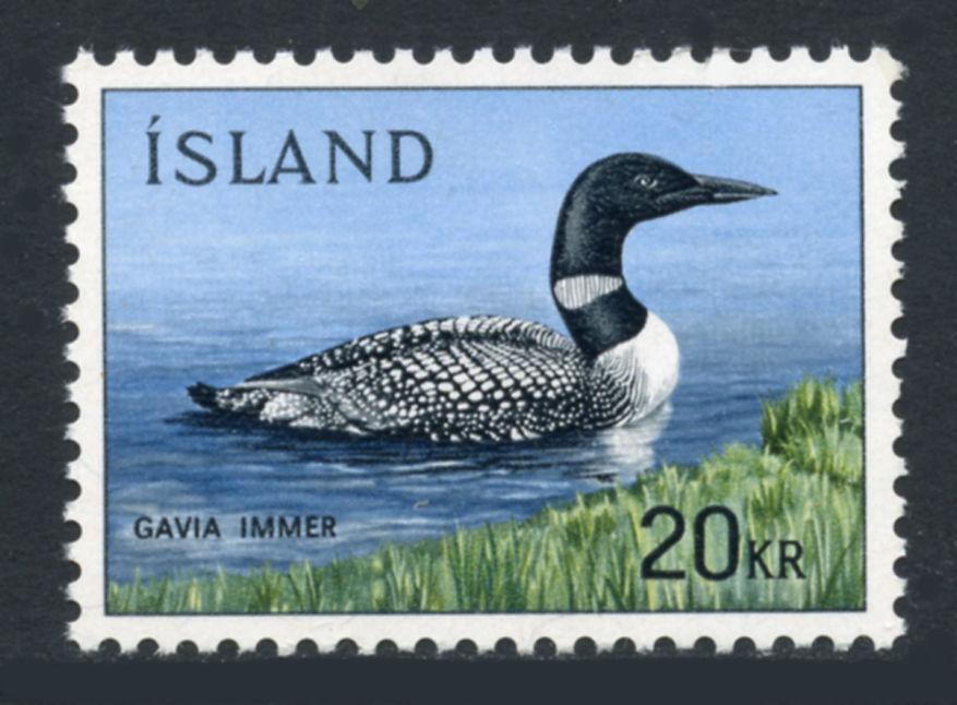 Iceland: 1967 Common Loon (388) MNH