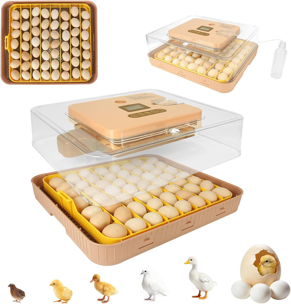 Automatic 56-Egg Incubator for Breeders, Sensor-Based Precise Humidity+Temp Cont