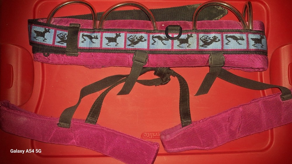 BlueWater Panther Climbing Harness