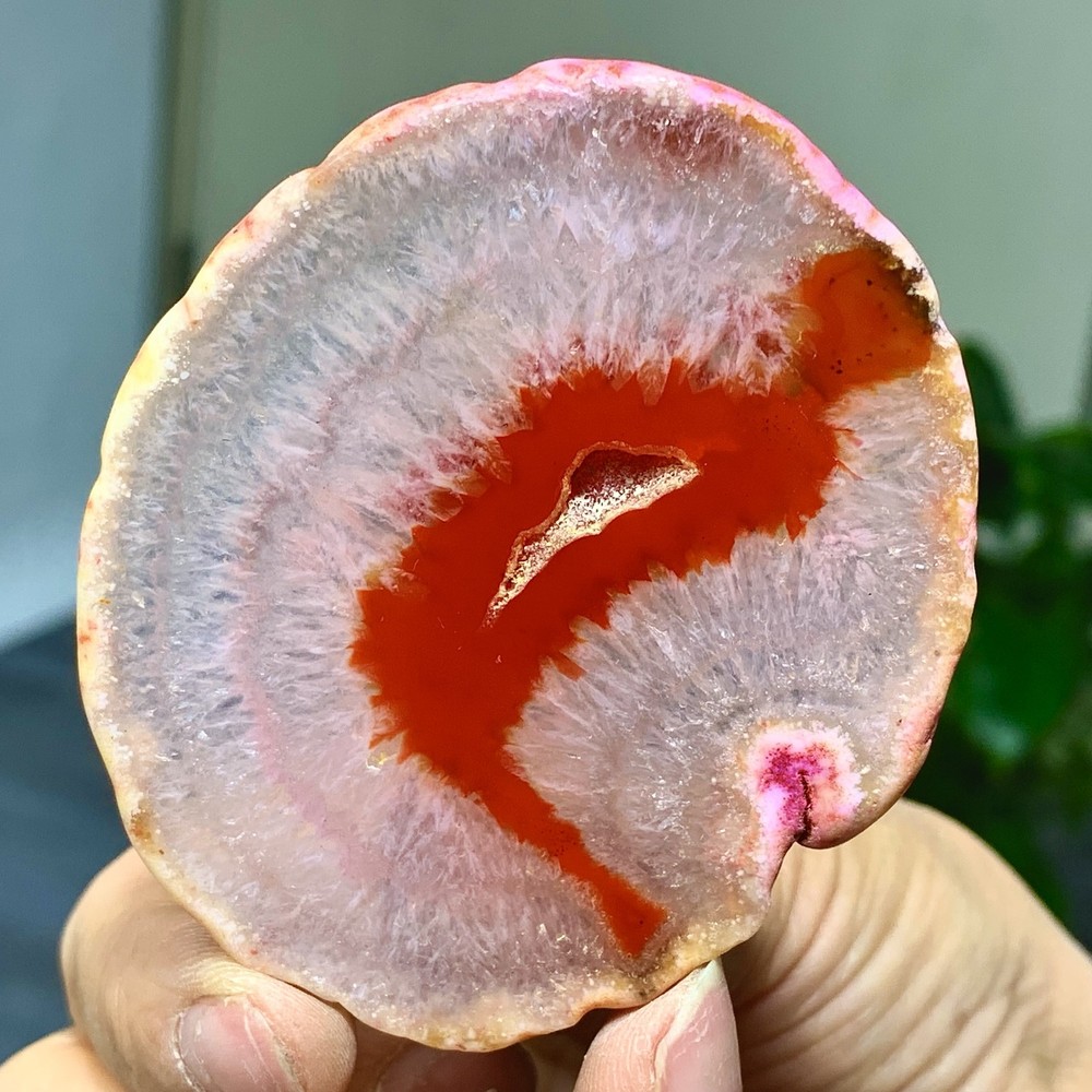 42G Natural Beautiful Agate Geode Druzy Slice Extra Large Gemstone