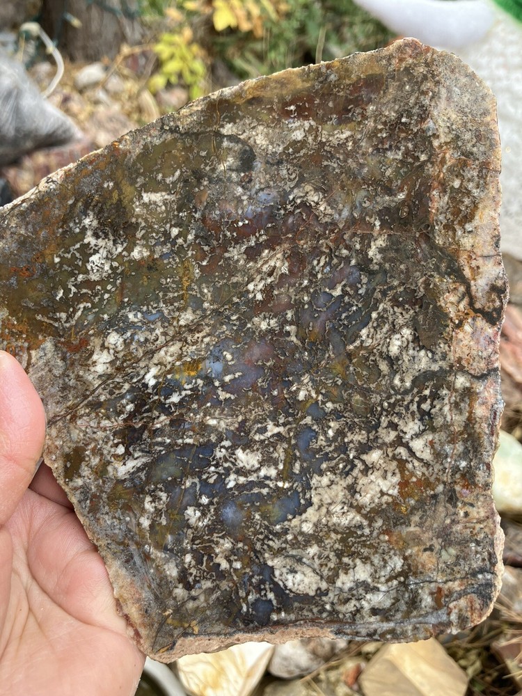 Unknown Agate