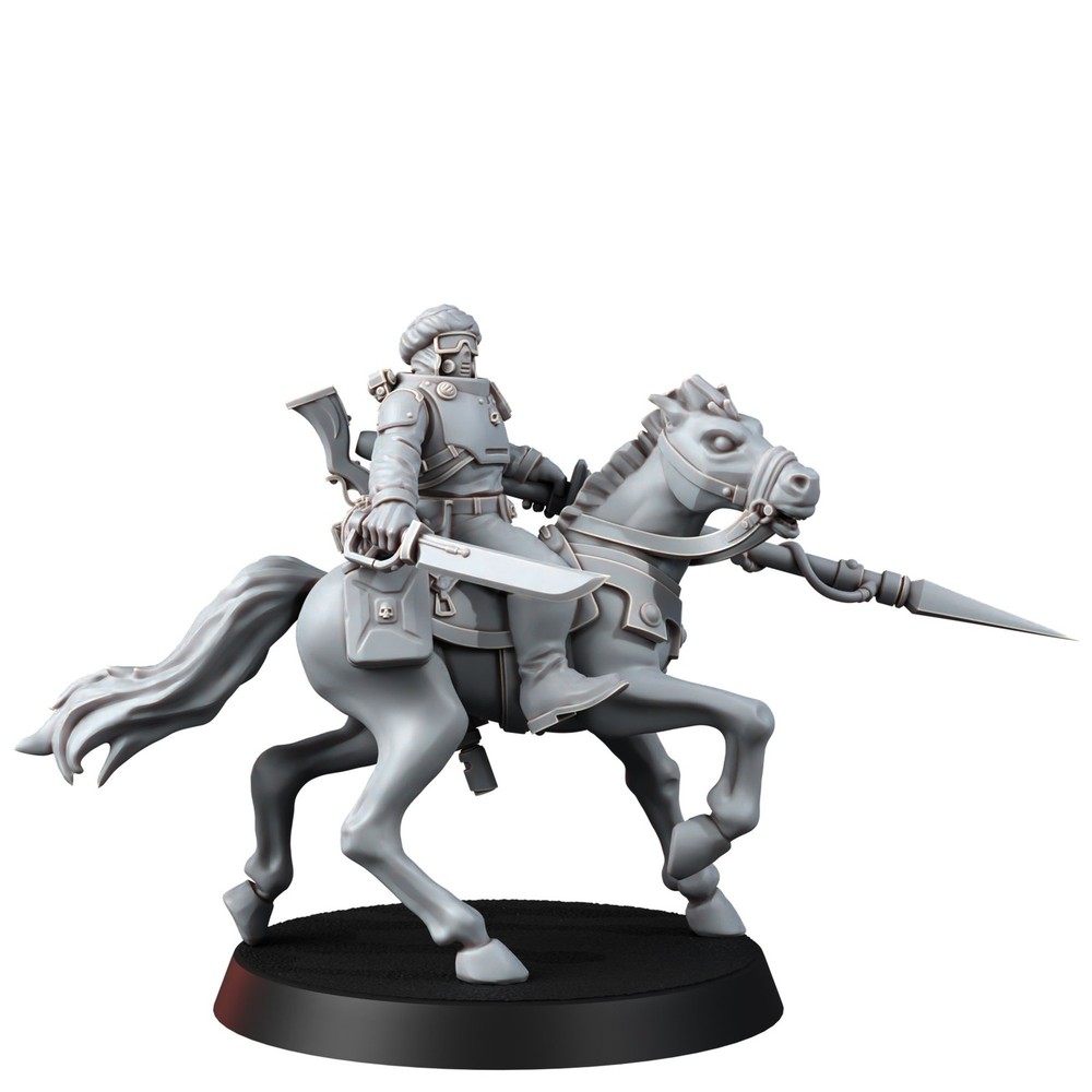 DESERT HAWKS STORMRIDERS