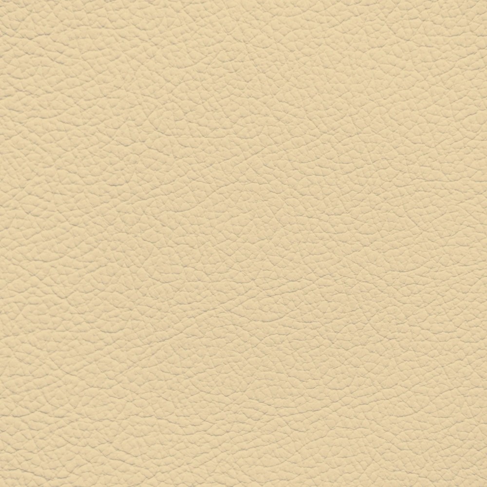 Jaguar Magnolia Leather Dye