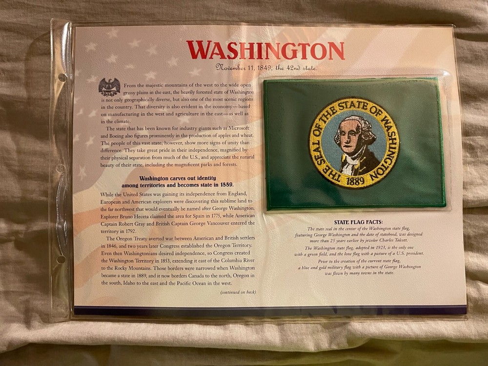 WILLABEE & WARD FLAG PATCH PANE **** WASHINGTON