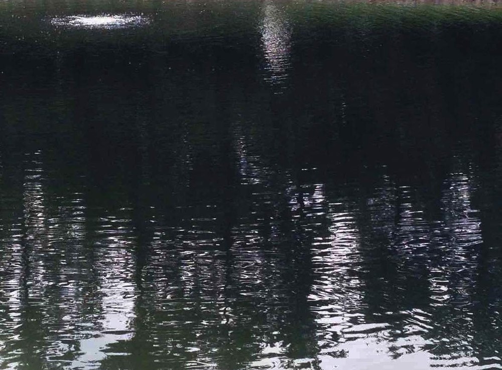 Reflective Black Pond Dye Concentrated Quart