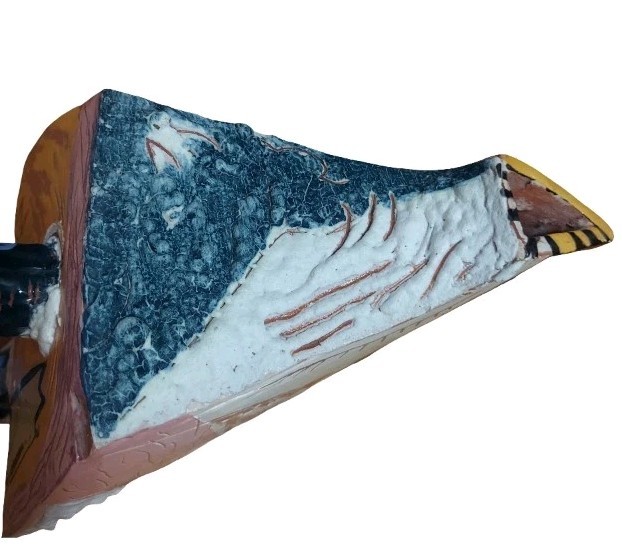 Handmade Abstract Textured Clay Wedge Pitcher