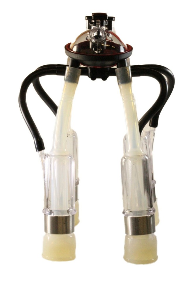 Melasty, Cow Milking Cluster 240 cc with Acrylic Shells