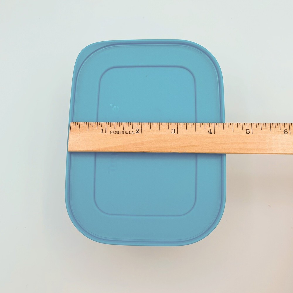 2 Plastic Tupperware Container for Freezer 450ml & 1.1 L Blue Covers