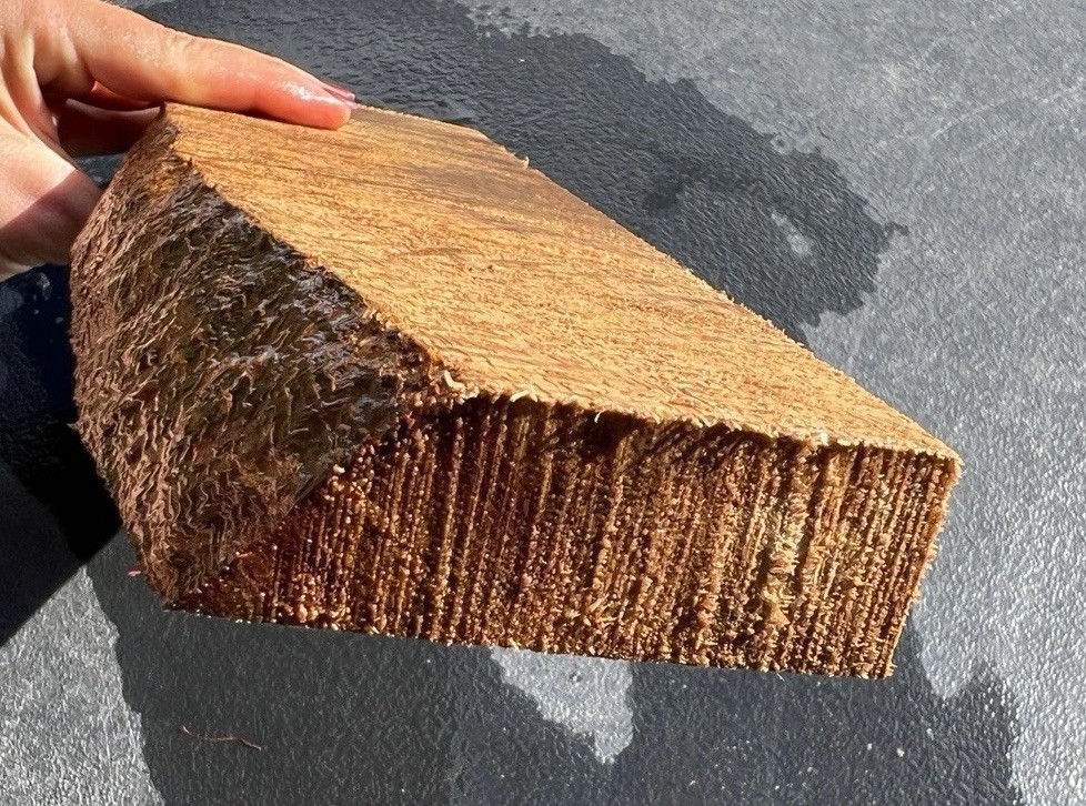 Hawaiian Curly Mango Board #14310
