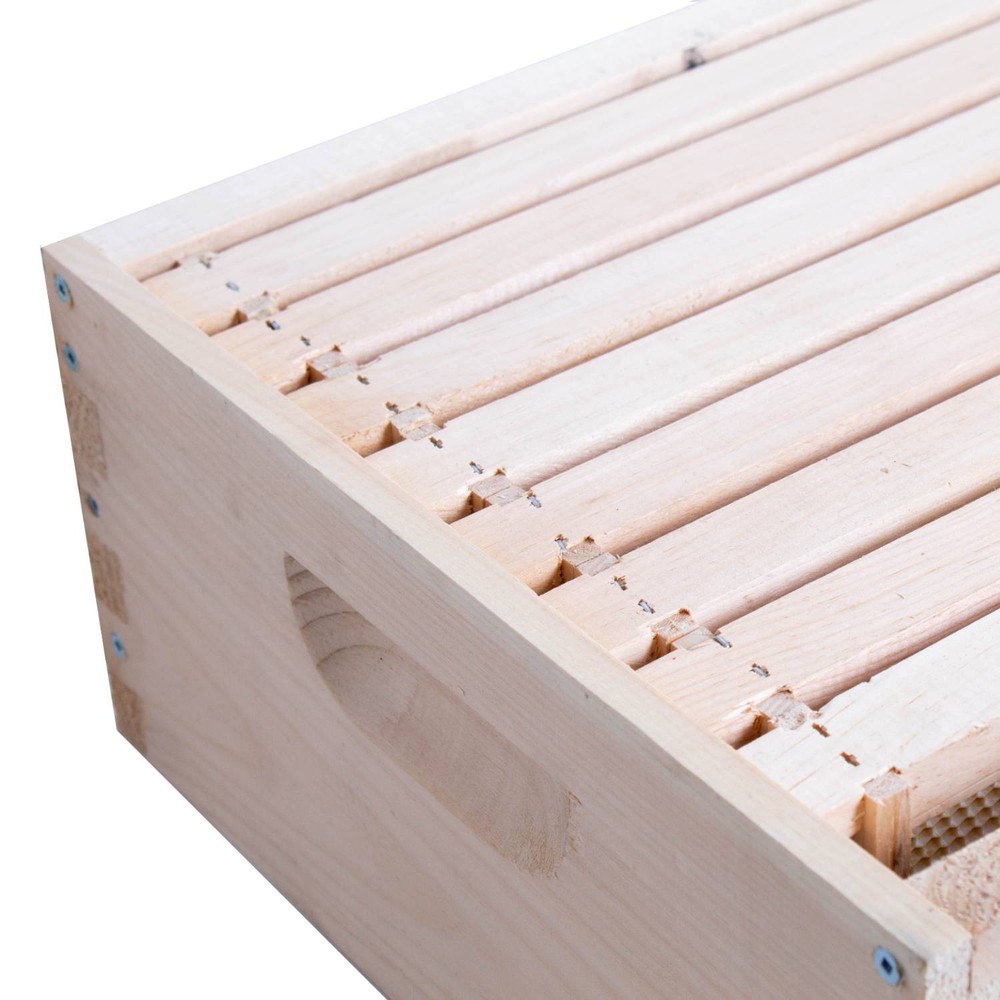 8 Frame Medium Assembled Beekeeping Box, Plastic Foundation Frames, Amish Made