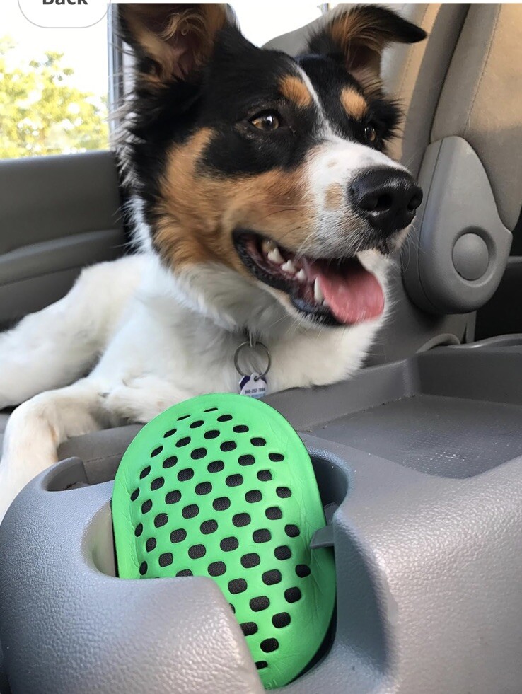 Turtle Wax 50717 smell Shell