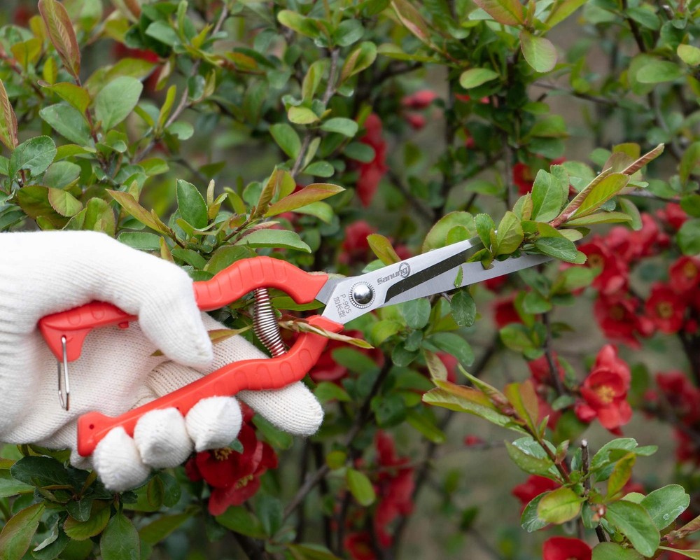 2 PACK Multifunctional Thin Fruit Scissors, P-905 Garden Pruner Shears Cutter...