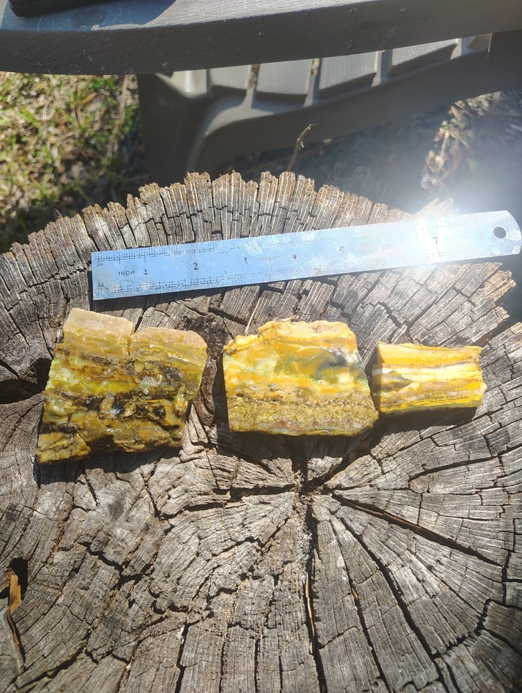 blue opalized petrified wood