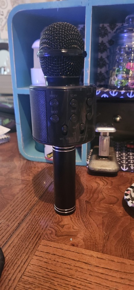 Family Game Night Microphone, Rechargeable