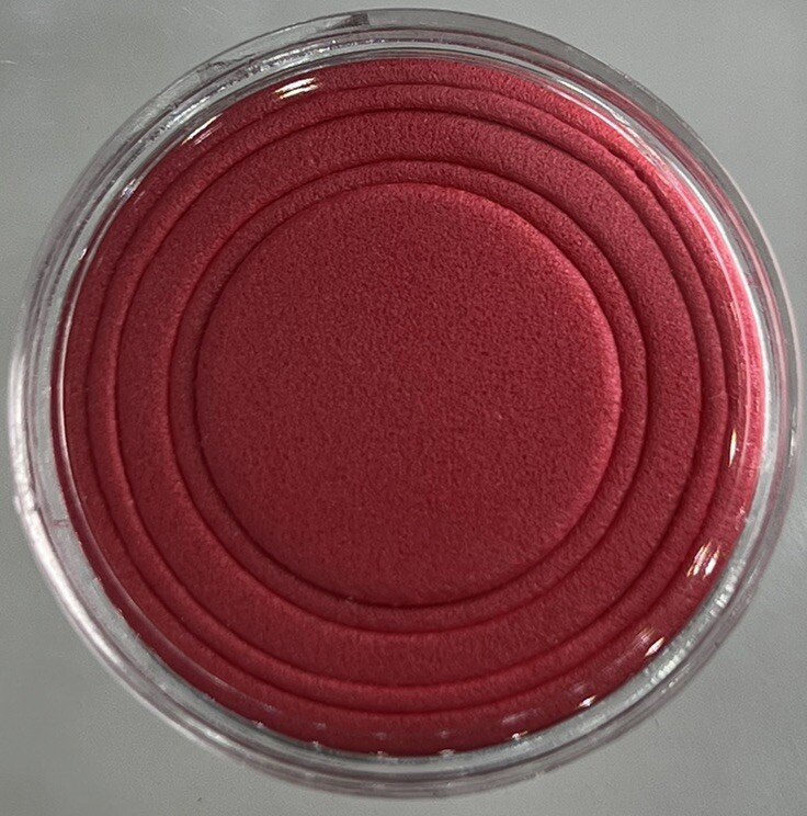 20 x Coin Storage Protective Clear 30mm Capsule + Red Adjustable Foam Insert