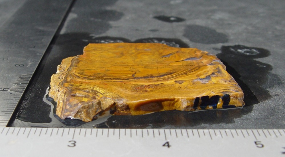 Roostertail Agate Lapidary Slab 1342