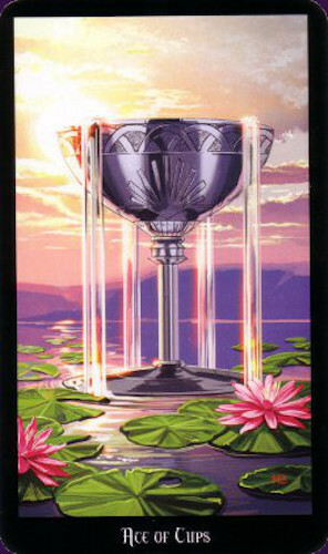 Witches Tarot Kit, Includes Deck & Book, by Ellen Dugan!