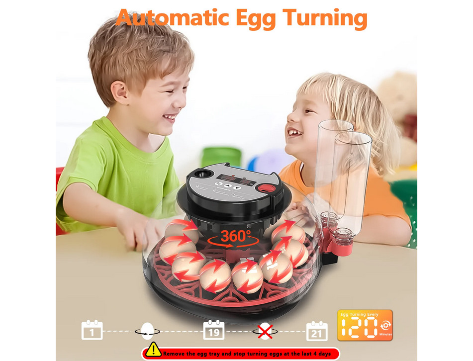 12-Egg Automatic Incubator with Auto Turner & Humidity Control, Poultry Hatching