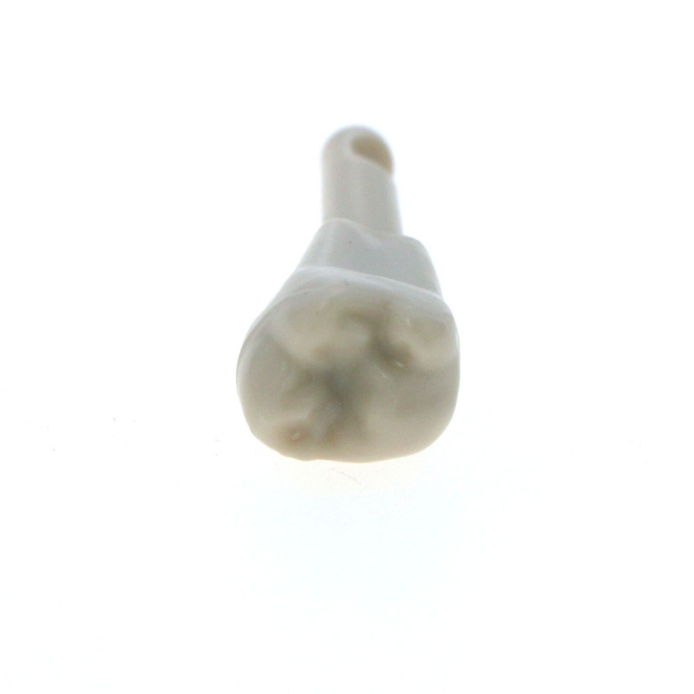 Dental Tooth Model fit for KaVo Basic Model Teeth Retention Mechanism 32 Pcs