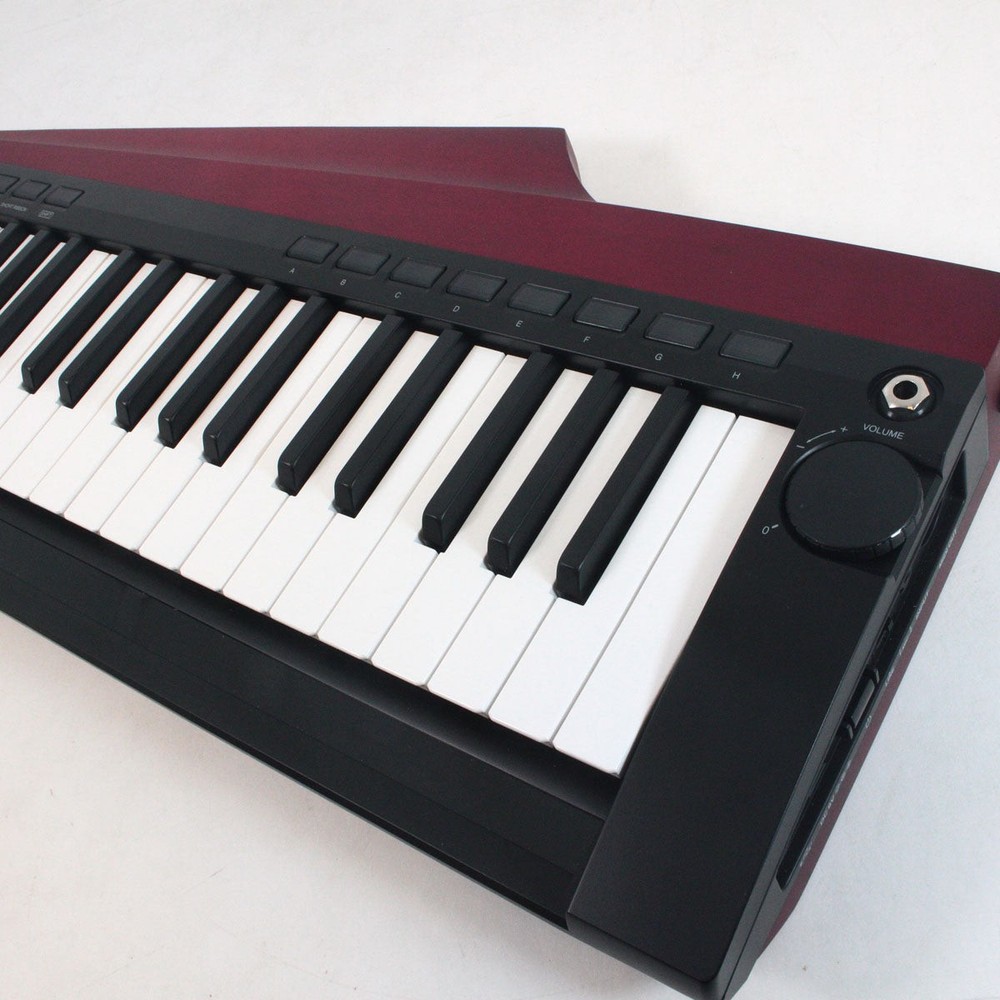 KORG RK-100S2 RD [005635]