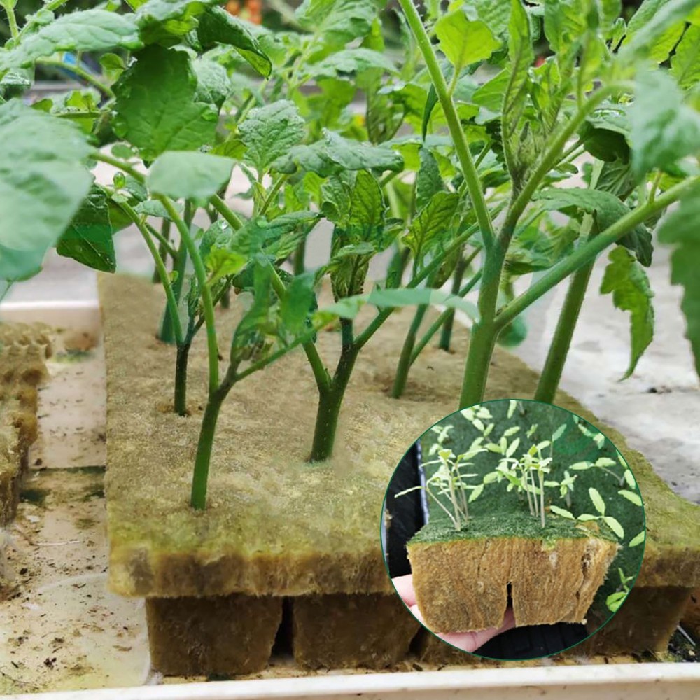8 Pcs Starter Cubes Grow Plugs Planting Wool Block Hydroponic