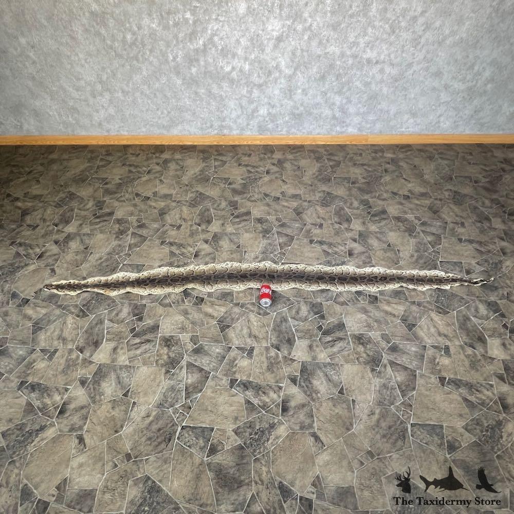 #26290 E | African Rock Python Snake Skin Rug Mount For Sale