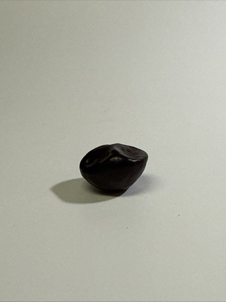Lucky Buckeye Nut