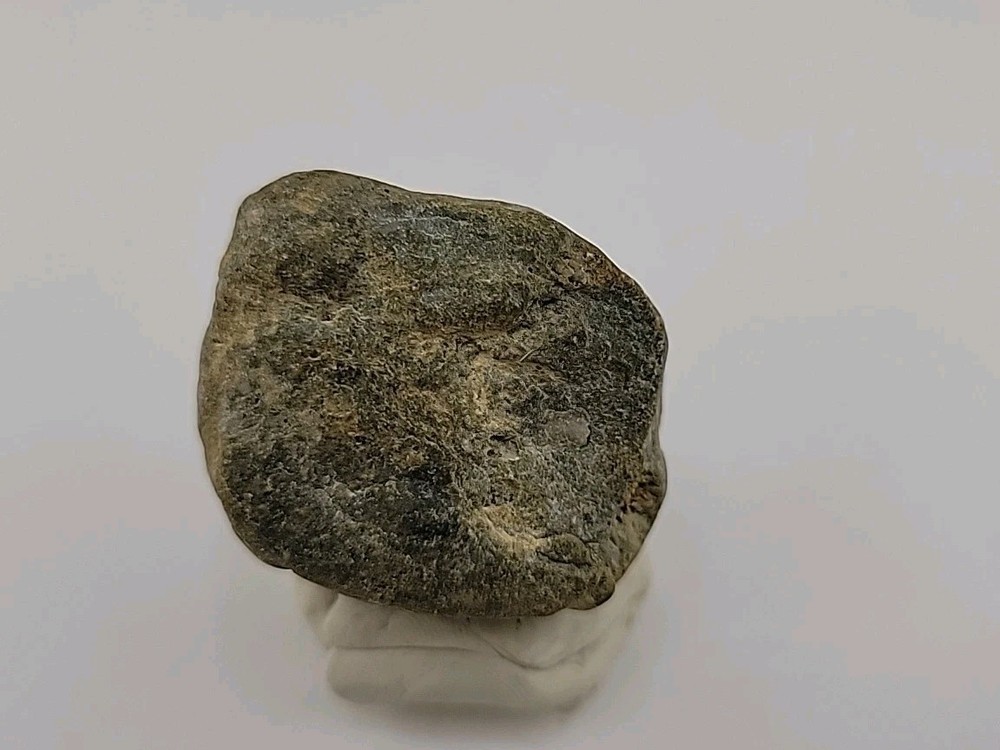 Real Permineralized Dinosaur Half Egg Embro Uv Reactive