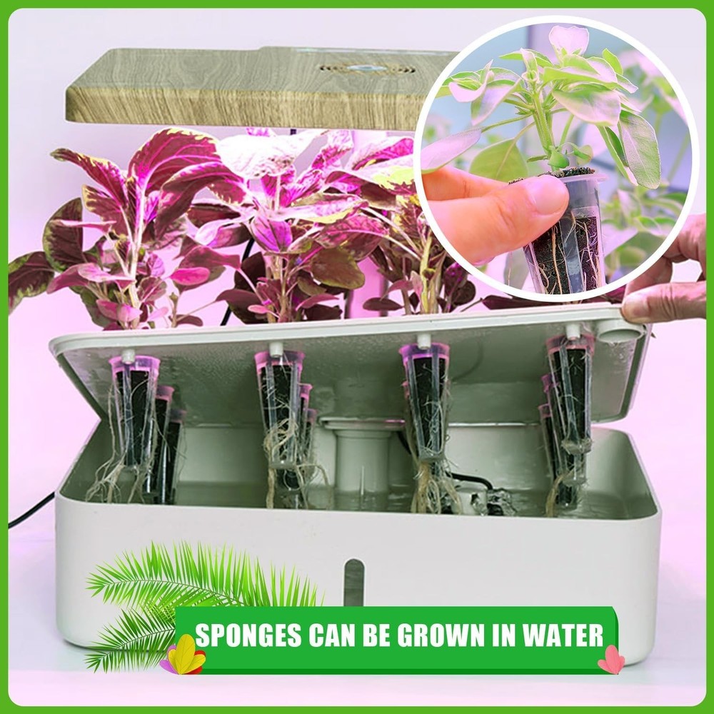 Hydroponic Seed Growth Sponges - 50pcs for Effective Gardening