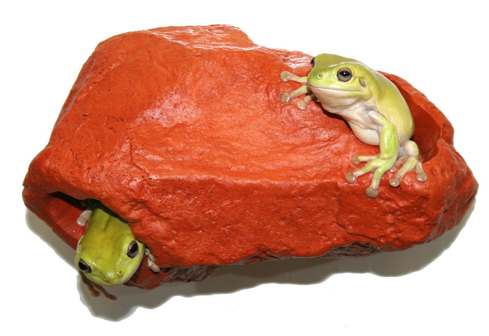 MagNatural Small Hideaway Mojave - Pet-Tekk