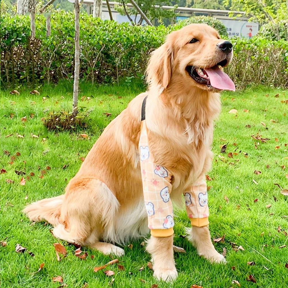 Dog Elbow Protector, Thickened Elbow Sleeves with Mesh Pad for Medium Large D...
