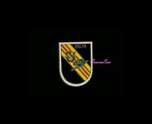 USA Delta Force + a custom promo pin