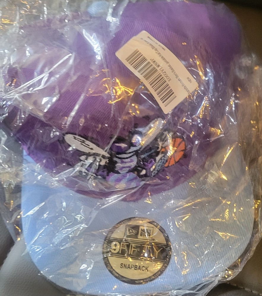 Charlotte Hornets SnapBack Hat