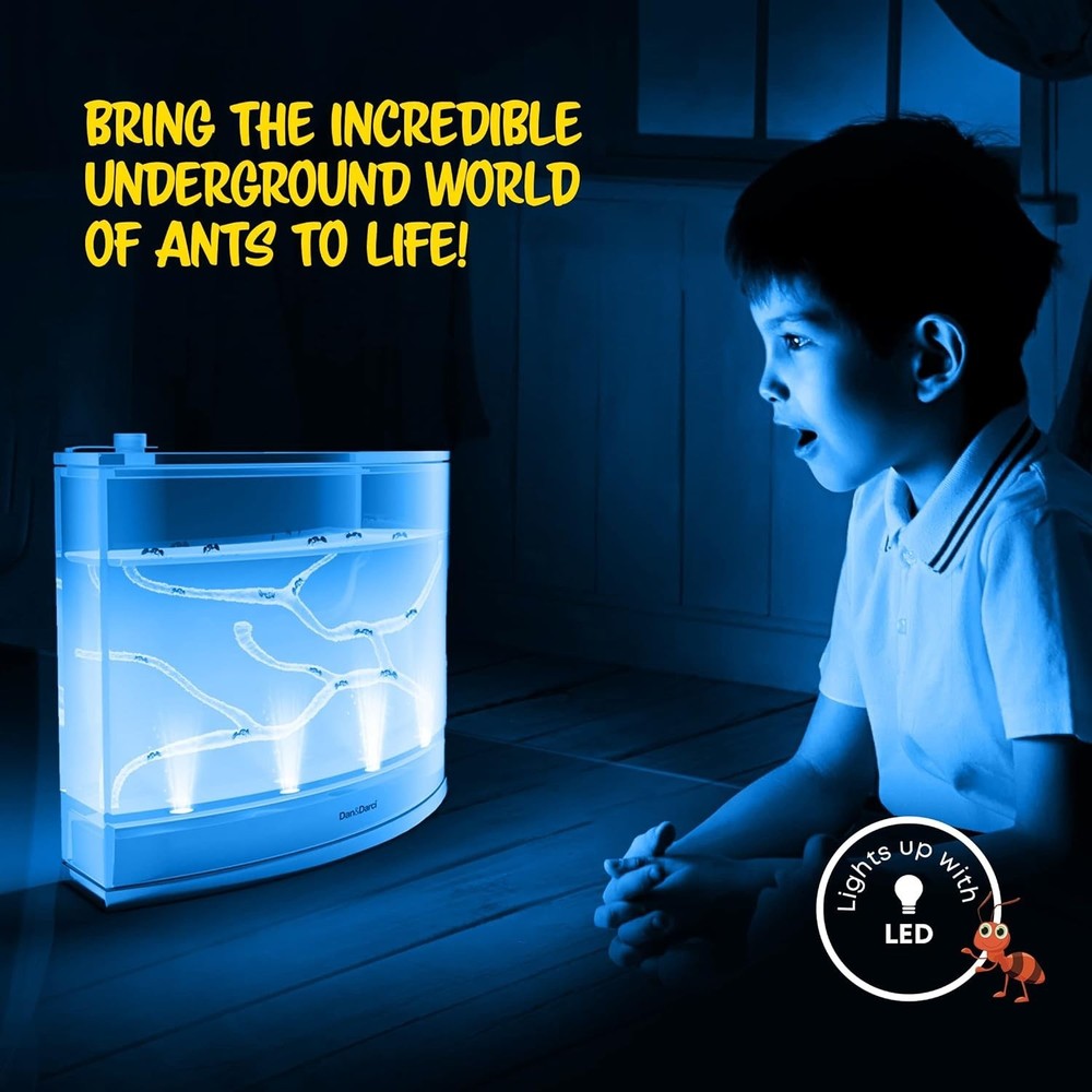 Interactive LED Ant Habitat for Children