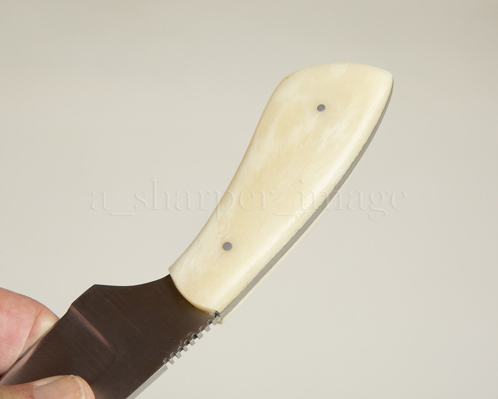 7” Stainless Steel Skinner SHARP Camel Bone Handle + Leather Sheath Rugged