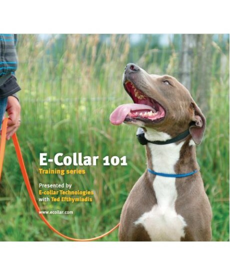 E-Collar Technologies Training Series E-Collar 101 DVD